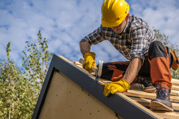 Best Roof Coating and Sealing  in Redwood Falls, MN